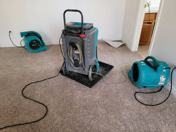 Best Ceiling water damage repair  in Deale, MD