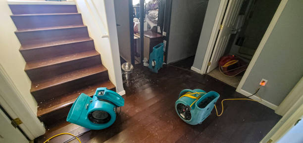 Best Basement water damage restoration  in Deale, MD