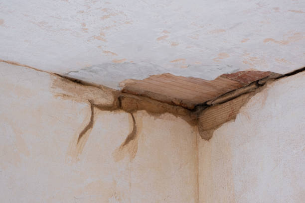  Deale, MD Water damage restoration Pros