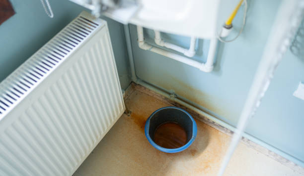 Best Water damage cleanup near me  in Deale, MD